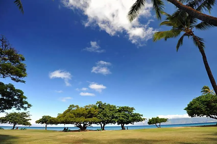 Amazing Honokowi Maui Beach Condos In Lahaina United States